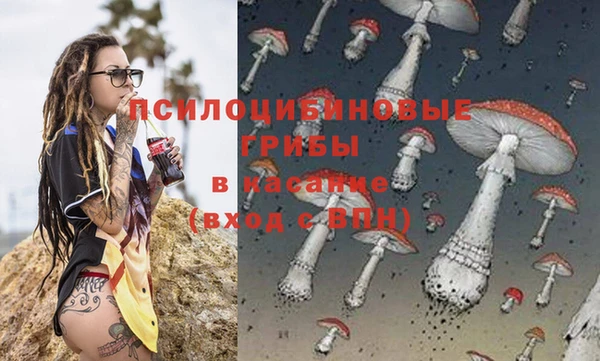 гидра Наволоки