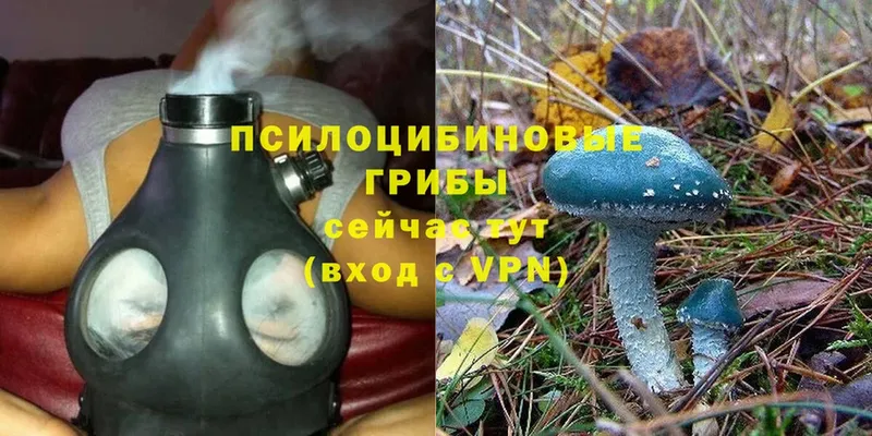 купить наркоту  Орёл  Галлюциногенные грибы MAGIC MUSHROOMS 